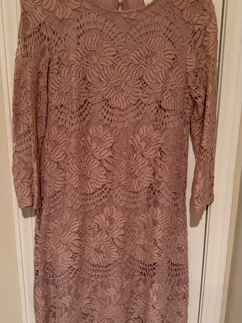 H&M Dusty Rose Long Sleeve Lace Dress